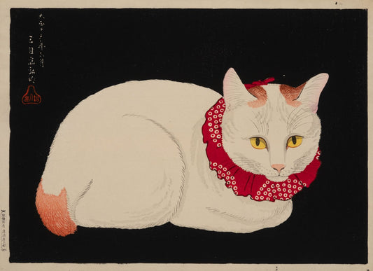 Arte Japonés - Gato blanco de Takahashi Hiroaki
