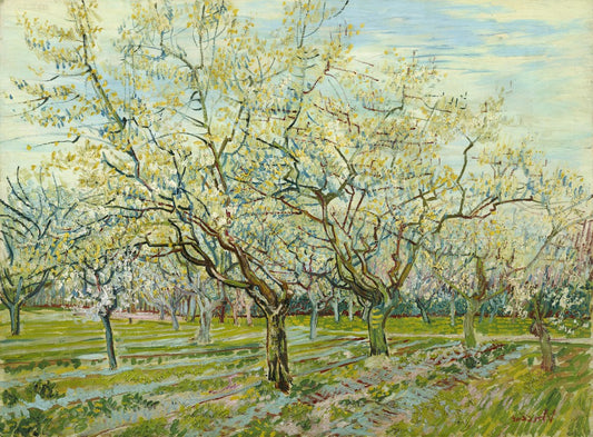 Vincent Van Gogh