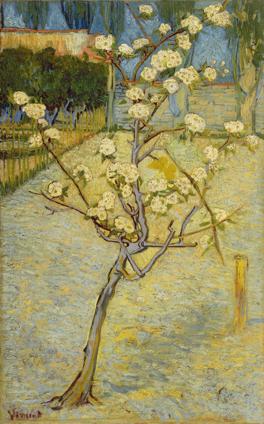Vincent Van Gogh