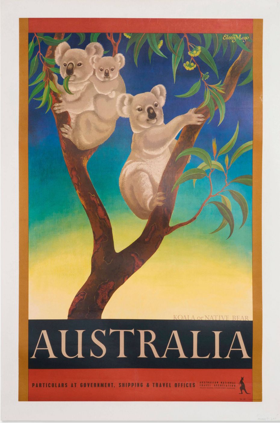 "Koala or Native Bear Australia" de Eileen Mayo