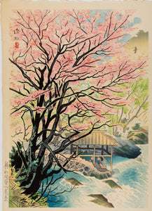 Arte Japonés - Escena de primavera del río Takara en Okutone de Ito Shinsui
