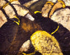 Arthur Dove