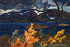 Helmer Osslund