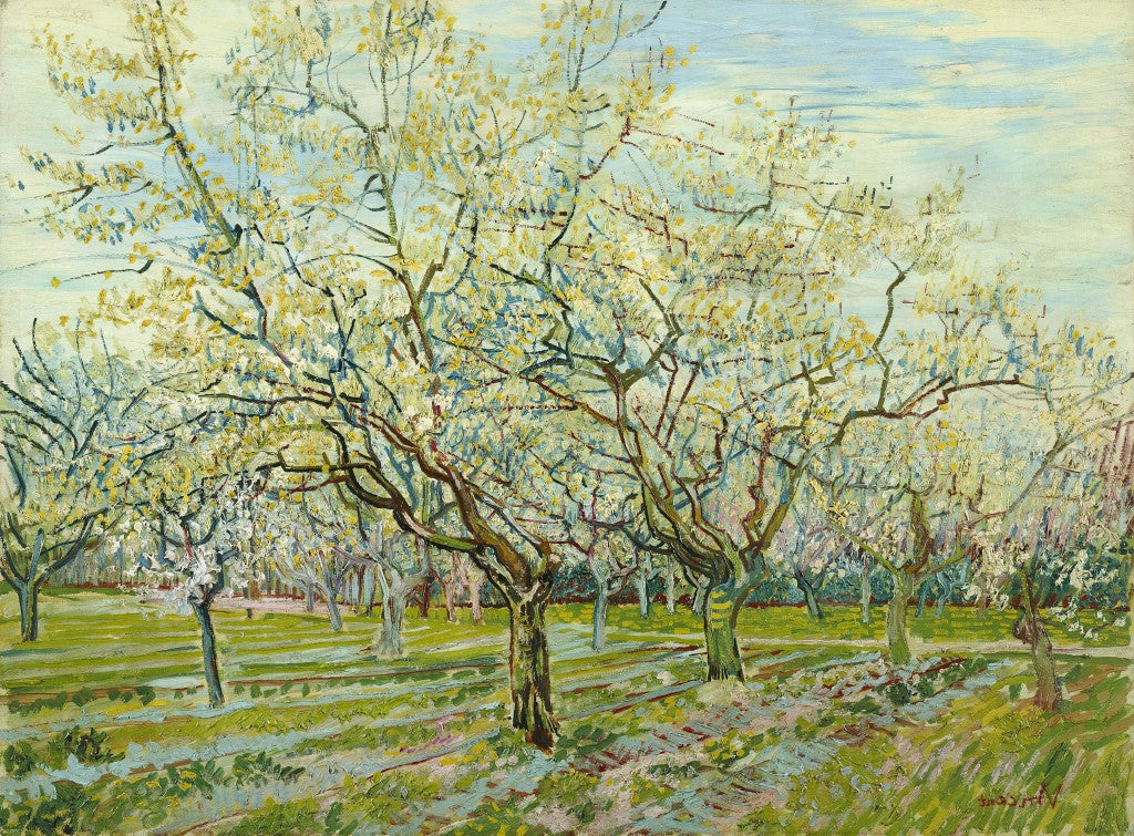 Vincent Van Gogh