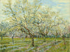 Vincent Van Gogh