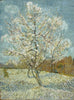 Vincent Van Gogh