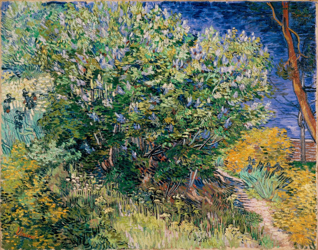 Vincent Van Gogh