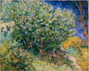 Vincent Van Gogh