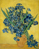 Vincent Van Gogh