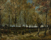 Vincent Van Gogh