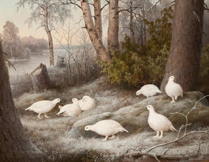 Ferdinand Von Right