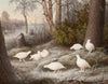 Ferdinand Von Right