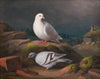 Ferdinand Von Right
