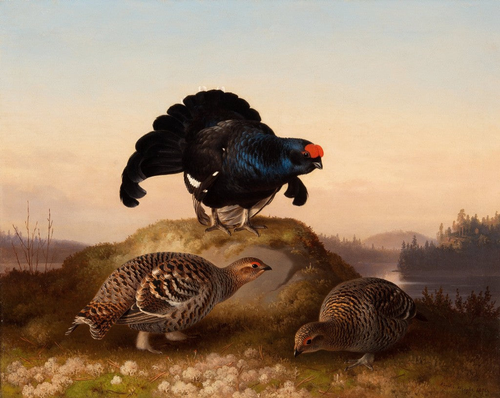 Ferdinand Von Right