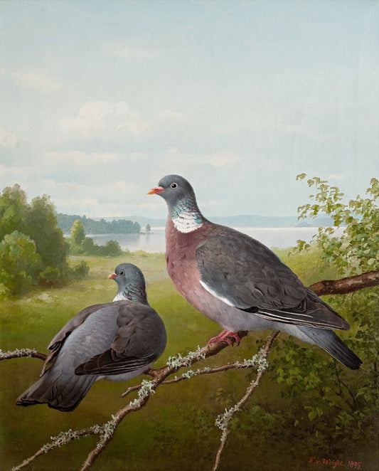 Ferdinand Von Right
