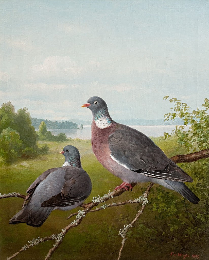 Ferdinand Von Right