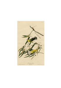 John James Audubon