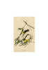 John James Audubon