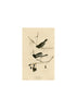 John James Audubon