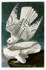 John James Audubon