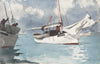 Winslow Homer