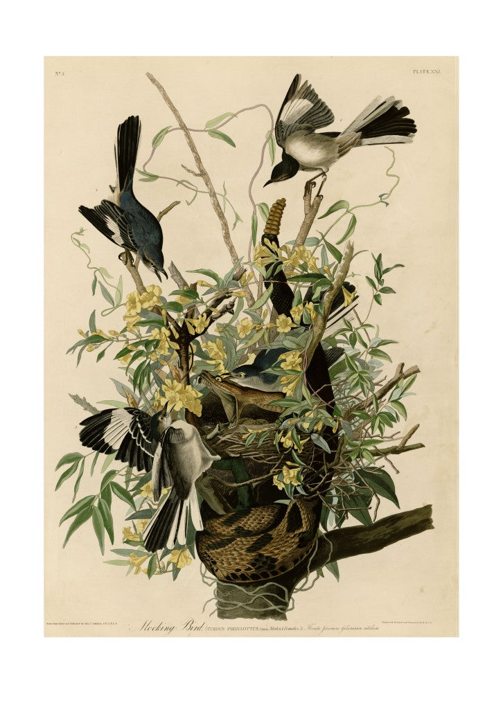 John James Audubon