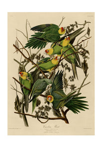 John James Audubon