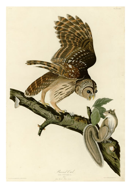 John James Audubon