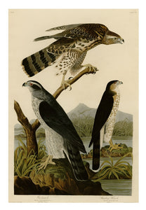 John James Audubon