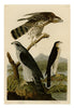 John James Audubon