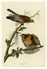 John James Audubon