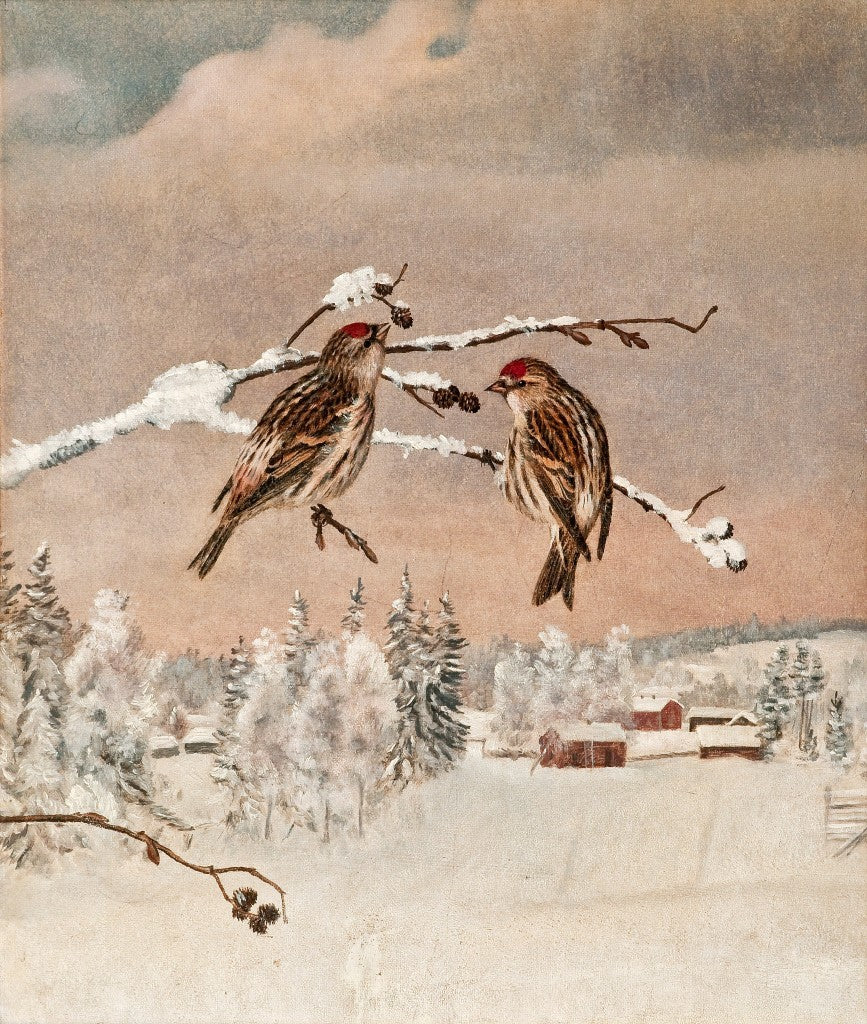 Matti Karppanen