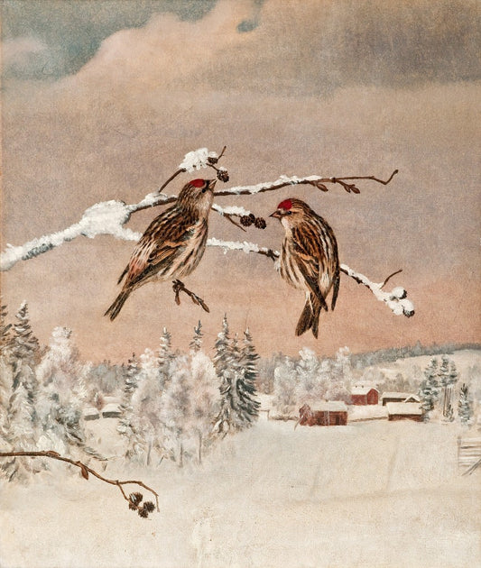 Matti Karppanen