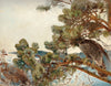 Bruno Liljefors