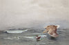 Bruno Liljefors