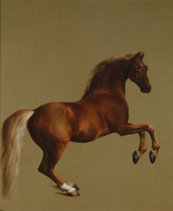 Stubbs