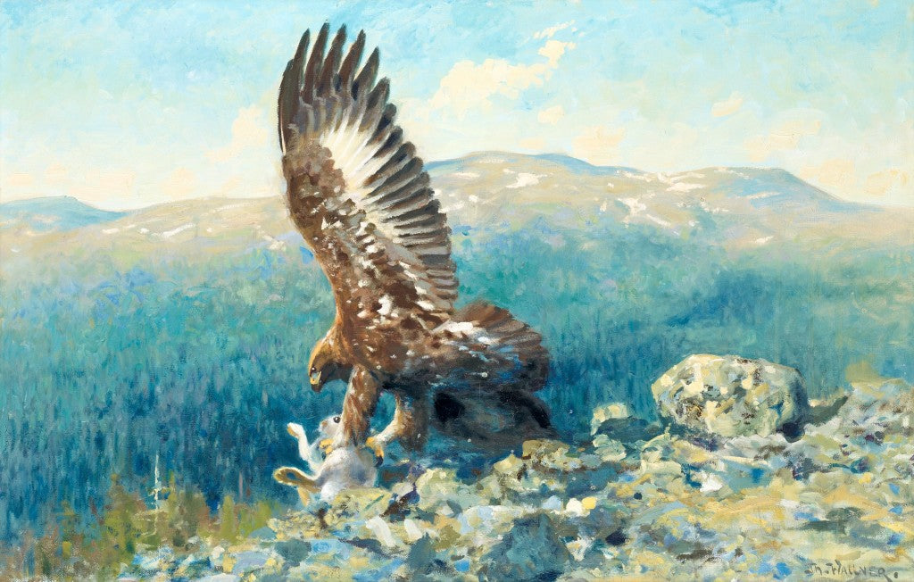 Thure wallner