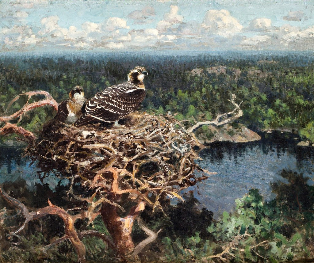 Thure wallner