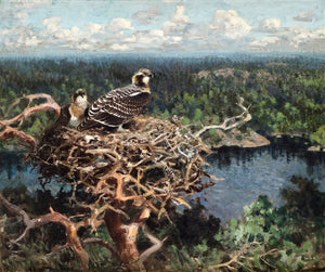 Thure wallner