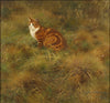 Thure wallner