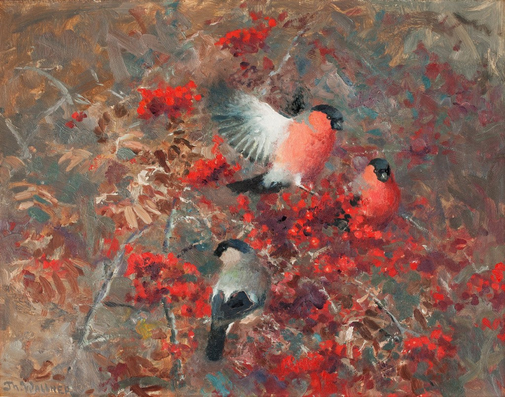 Thure wallner