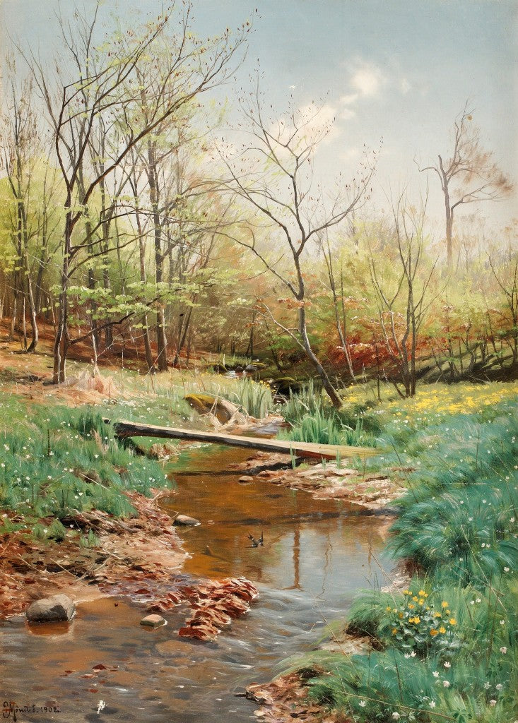 Peder Mork
