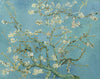 Vincent Van Gogh