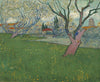 Vincent Van Gogh