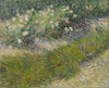 Vincent Van Gogh