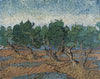 Vincent Van Gogh