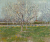 Vincent Van Gogh