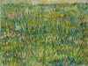 Vincent Van Gogh