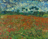 Vincent Van Gogh