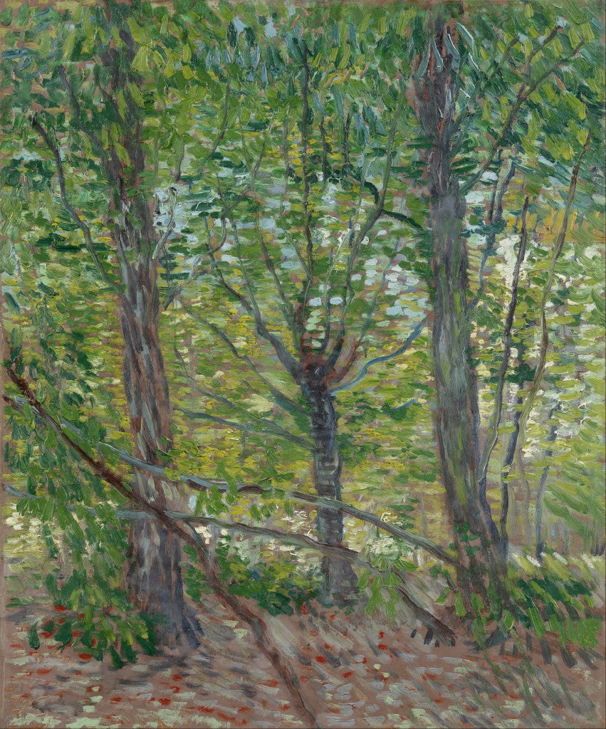 Vincent Van Gogh